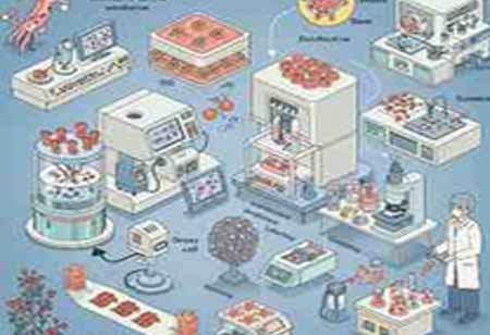 Major Trends in Regenerative Medicine: A Comprehensive Overview