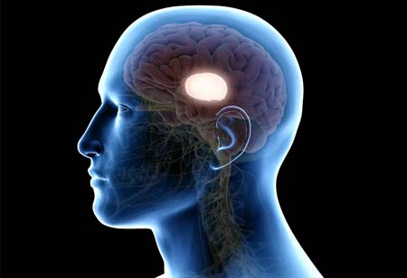 The Importance of Awareness in Brain Injury Prevention